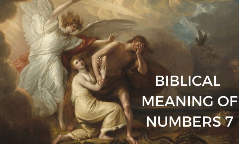 decoding-the-biblical-significance-of-the-number-44-blogs-the-sms-city